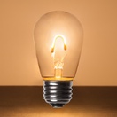 S14 Warm White Glass FlexFilament TM LED Edison Bulb, Transparent