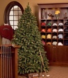 Sequoia Fir Prelit Tree