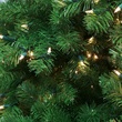 Sequoia Fir Prelit Tree