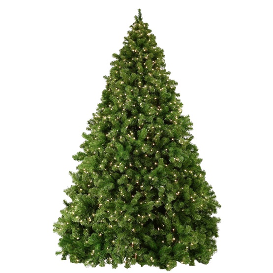 Sequoia Fir Prelit Tree