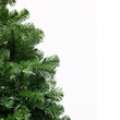 Sequoia Fir Prelit Tree