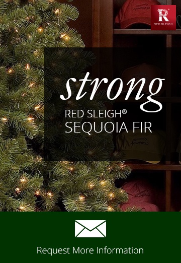 Sequoia Fir Commercial Christmas Trees