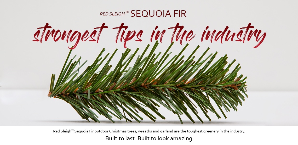 Sequoia Commercial Christmas Trees