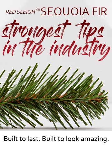 Sequoia Fir Commercial Christmas Trees