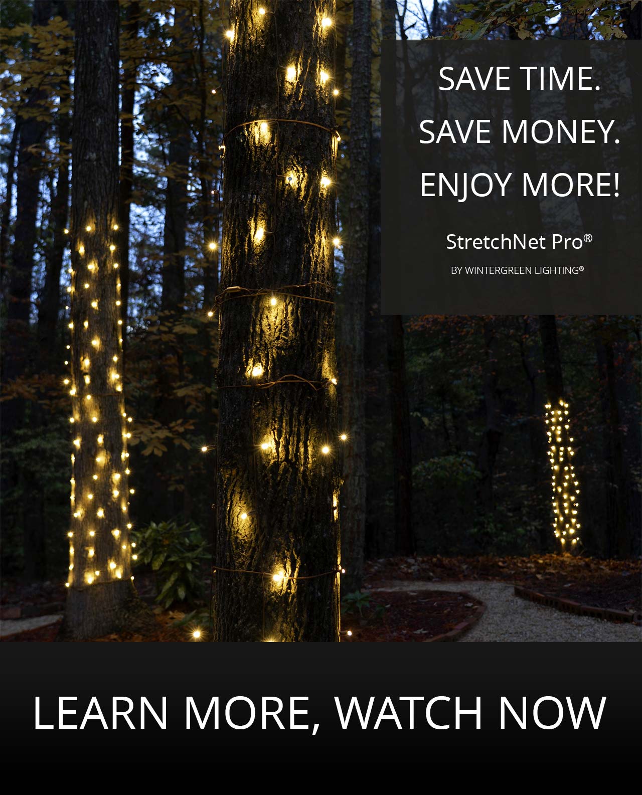 StretchNet Pro Net Lights