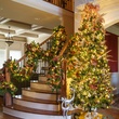 Slender Douglas Fir Prelit Tree