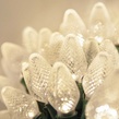 25 C7 Warm White LED Christmas Lights, 8" Spacing