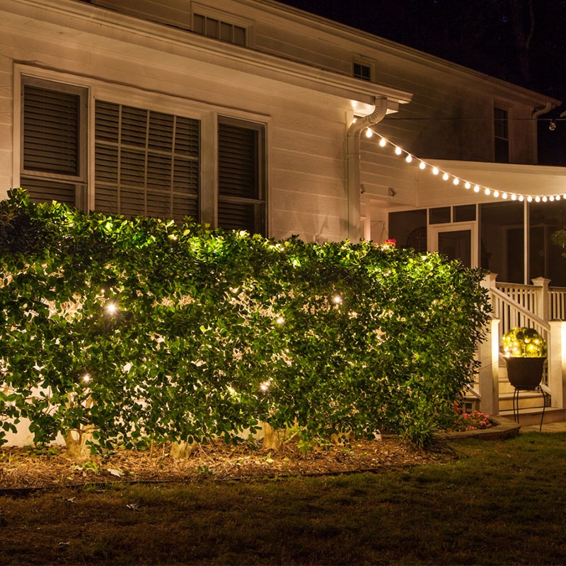 String Lights Pushed into Bushes to Create an Inviting Glow from Within