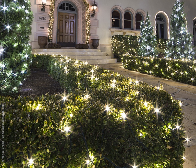 String Lights Wrapping Bushes