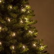 50 T5 Warm White LED Christmas Tree Lights, 4" Spacing