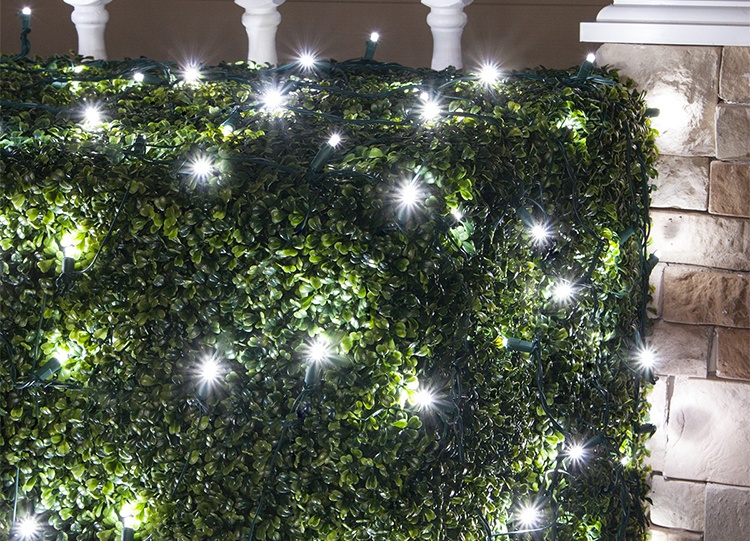 Cool White LED Twinkle Net Lights