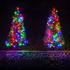 Walkway Christmas Trees