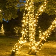 70 5mm Warm White LED Christmas Lights, 4" Spacing