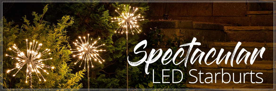 lighted branches