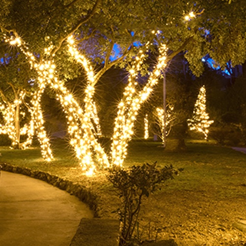 wide angle 5mm mini lights durability