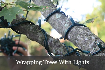 Wrapping Trees with Lights