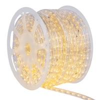 White LED Rope Light