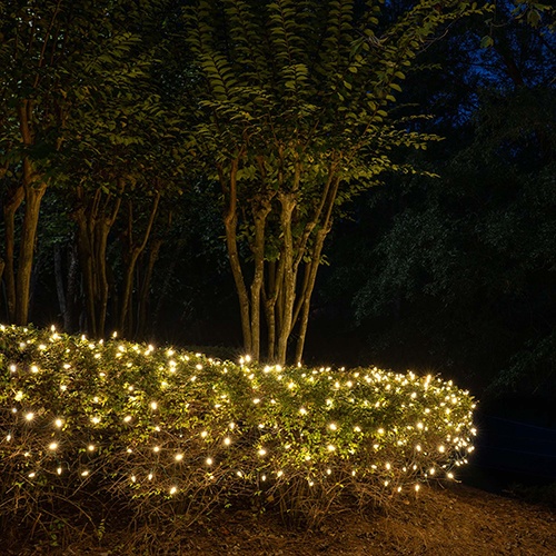 white net lights