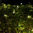 5mm 4' x 6' Warm White SoftTwinkle LED Net Lights, Green Wire