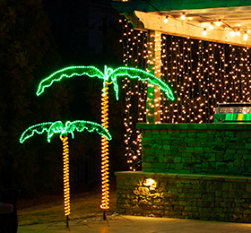 Rope Light Palm Night